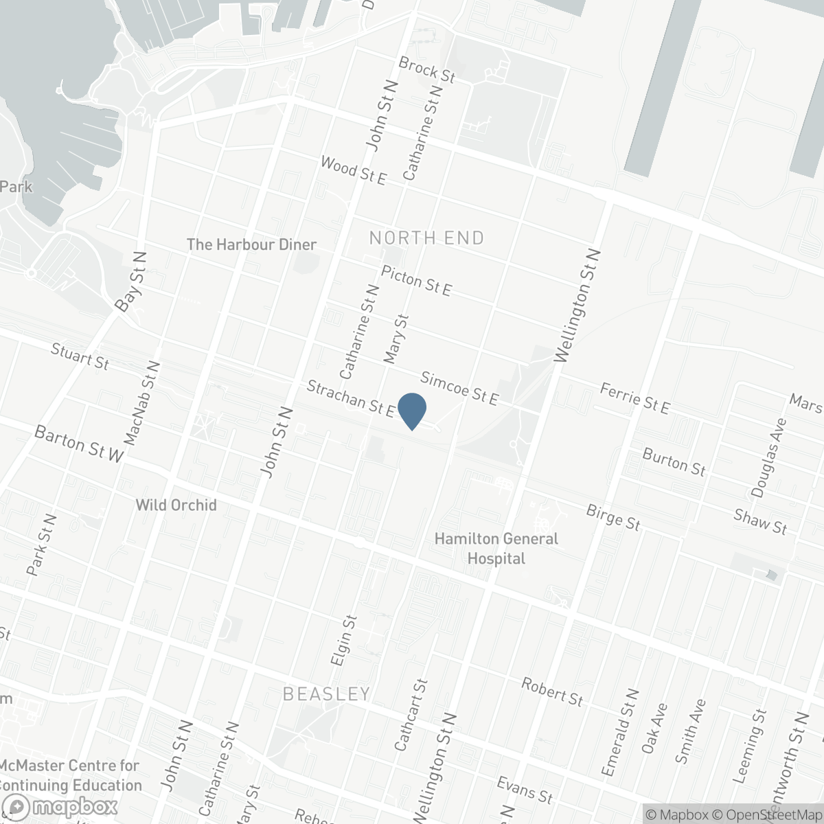 147 STRACHAN Street E, Hamilton, Ontario L8L 3M7
